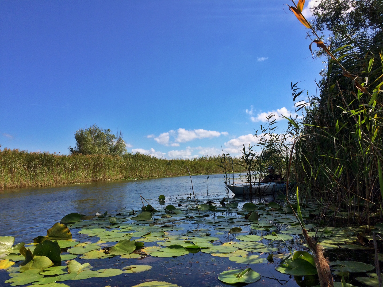 În canoe și pe 2 roți @ Delta Dunării (Sulina – Letea) 11 -14 Octombrie 2018