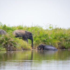 Hike, bike, snorkel & kayak Sri Lanka – 12 Zile de Aventură, 27 Aprilie - 8 Mai 2027
