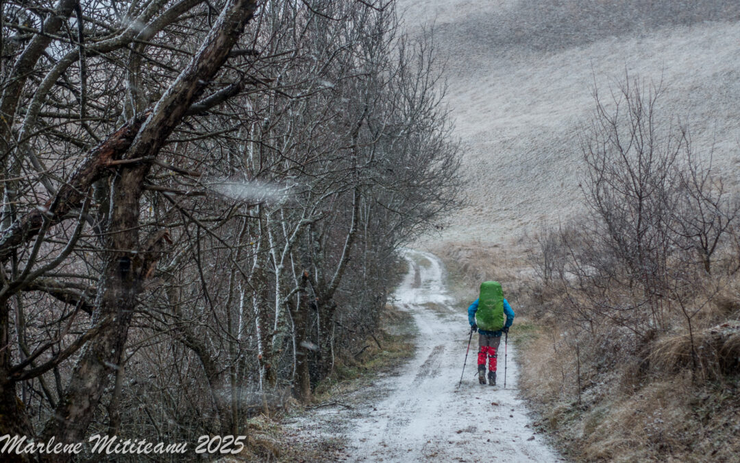 Chemarea Muntelui – descoperă blogul lui Dinu și Marlene Mititeanu
